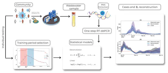 Wastewater Disease Surveillance